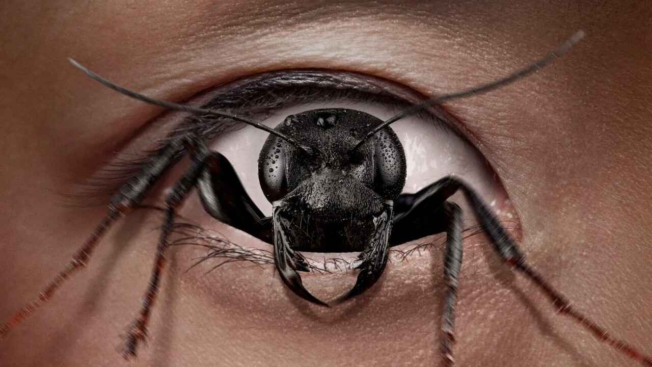 Ám Ảnh Kinh Hoàng - Control Freak