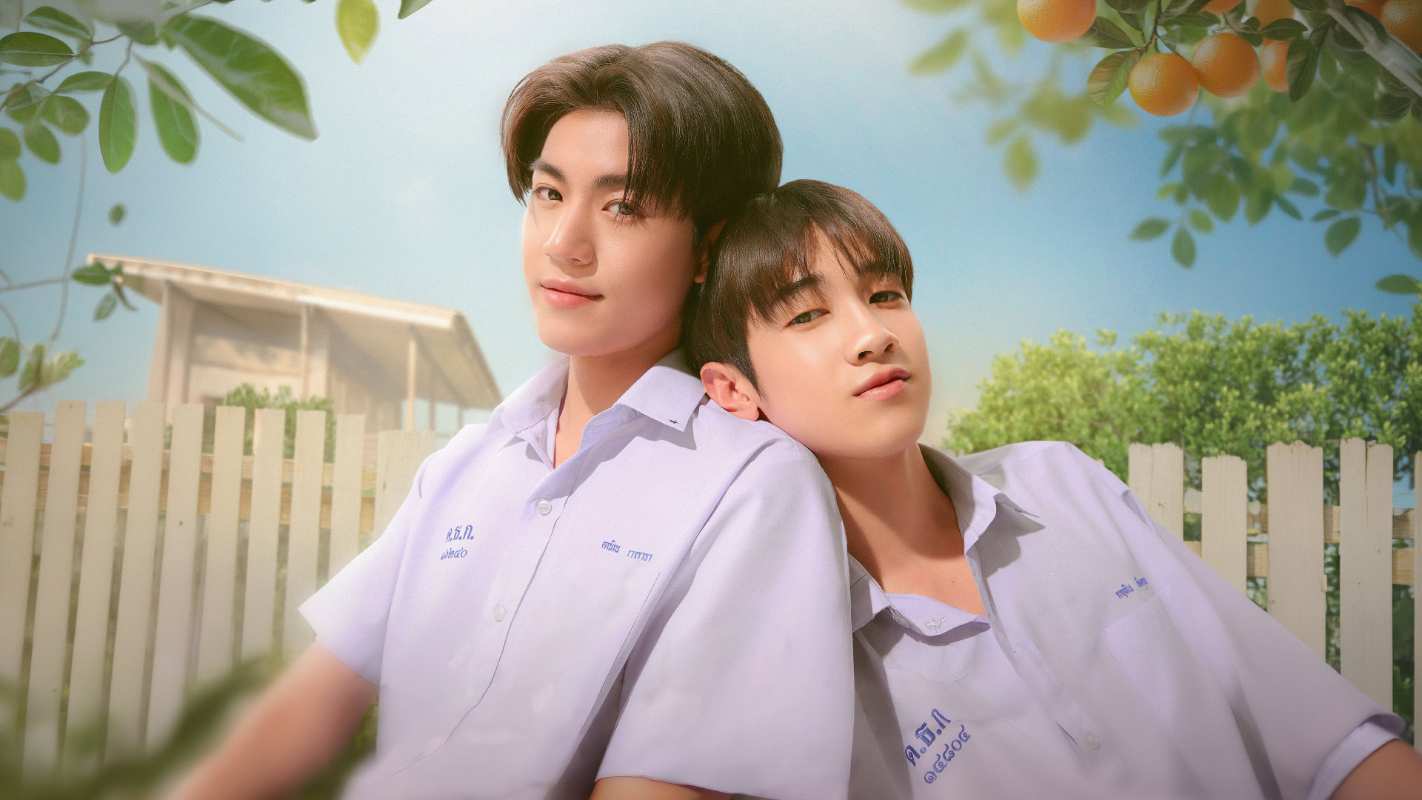Cây Cam Ở Nhà Cậu Ấy Nhưng Quả Cam Luôn Rơi Sang Nhà Tôi