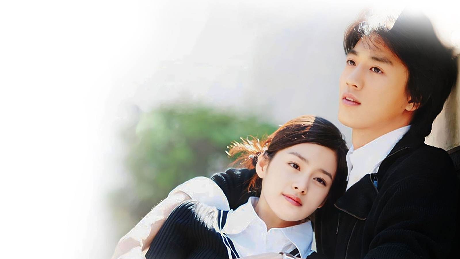 Chuyện Tình Havard - Love Story In Harvard