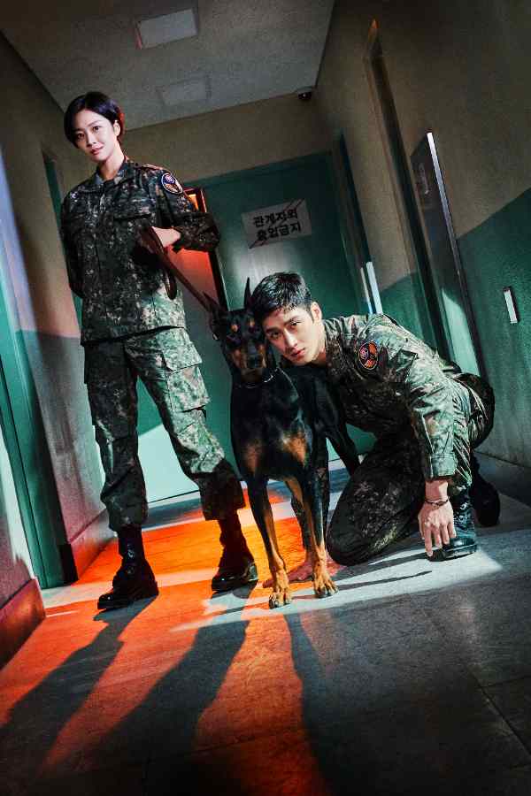 Công Tố Viên Quân Sự Doberman