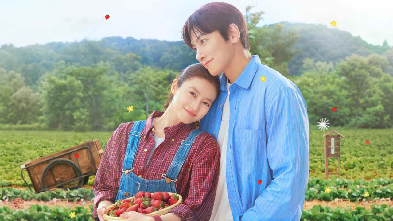 Dâu Tây Ngọt Ngào (Tình Yêu Quả Mọng) - Merry Berry Love