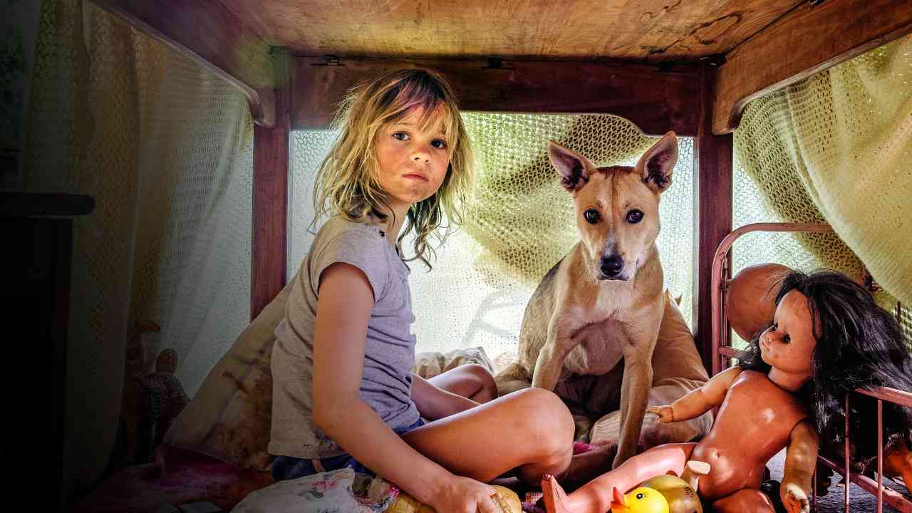Đứa Trẻ Của Chiến Tranh - Don't Let's Go To The Dogs Tonight