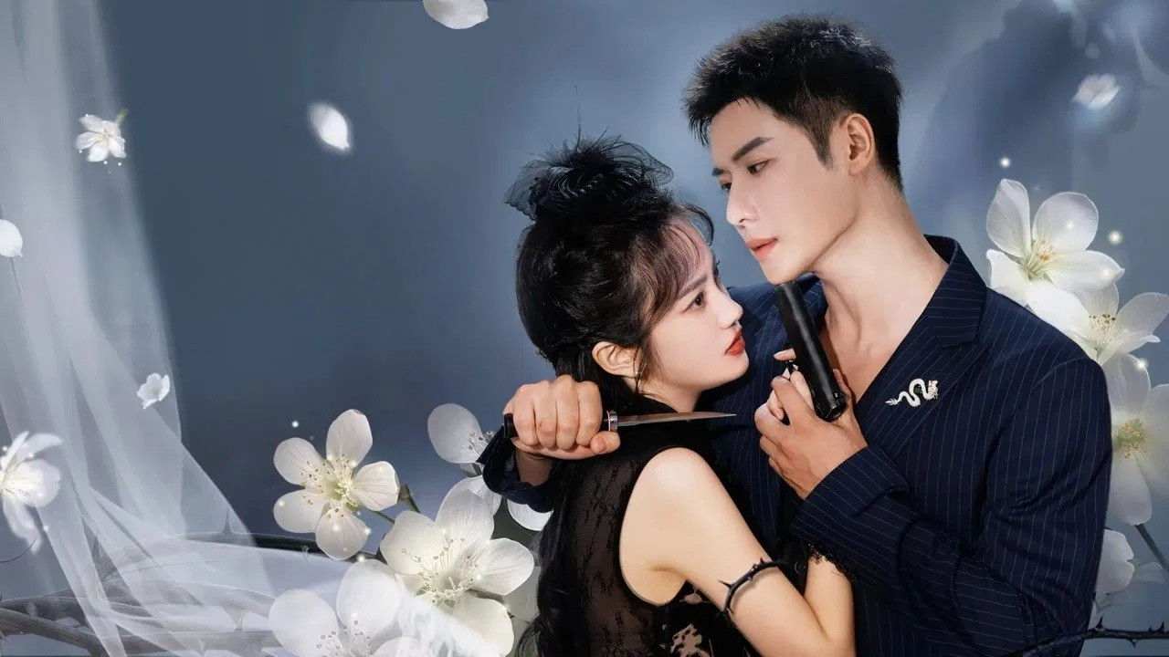 Nhất Thụ Lê Hoa, Nhất Khinh Châu