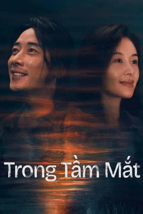 Trong Tầm Mắt